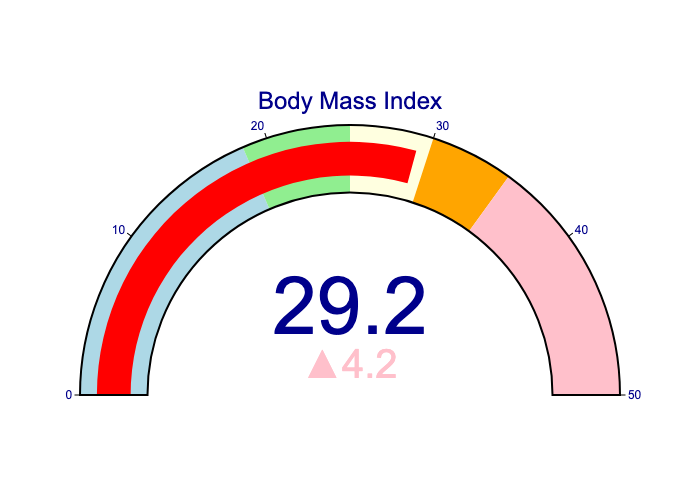 BMI graph